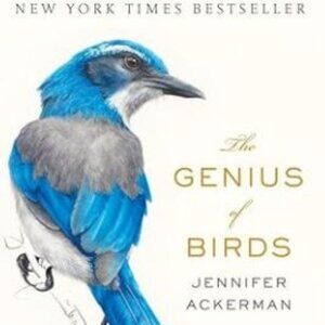 The Genius of Birds by Jennifer Ackerman